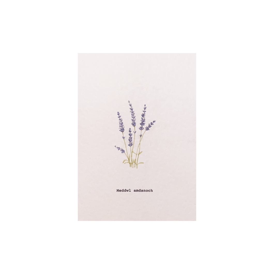 Celtic Herbal x Folded London Welsh Language Greeting Cards - Meddwl Amadanoch 