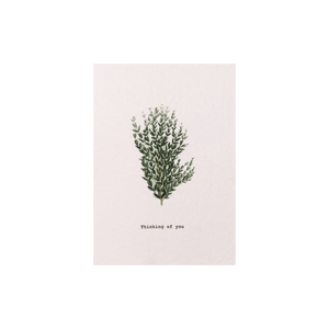 Celtic Herbal x Folded London Greeting Cards - Thinking of You